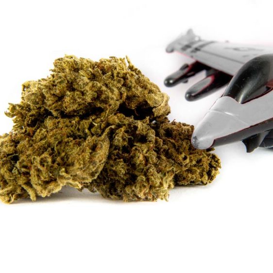 CBD-V1