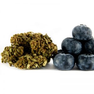 CBD- high cbd-blue-berry