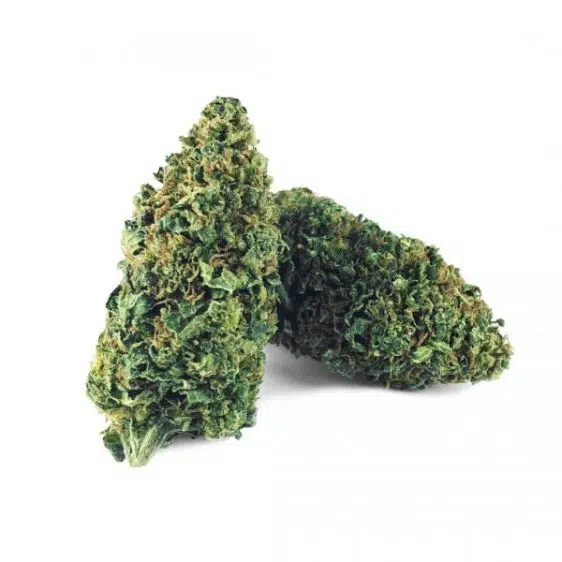 Amnesia Haze PREMIUM CBD Blüten CBD-amnesia-haze-premium 1