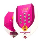 Bubblegum XL 3