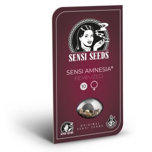 Sensi Amnesia 2