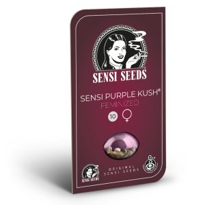 Sensi Purple Kush 2