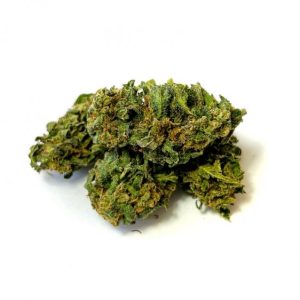 CBN Blüten Forbidden Fruit cbd-forbidden-fruit-cbn 1