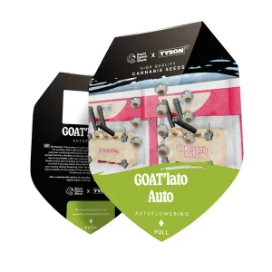 GOAT'lato Auto GOAT'lato Auto Cannabis Samen 2