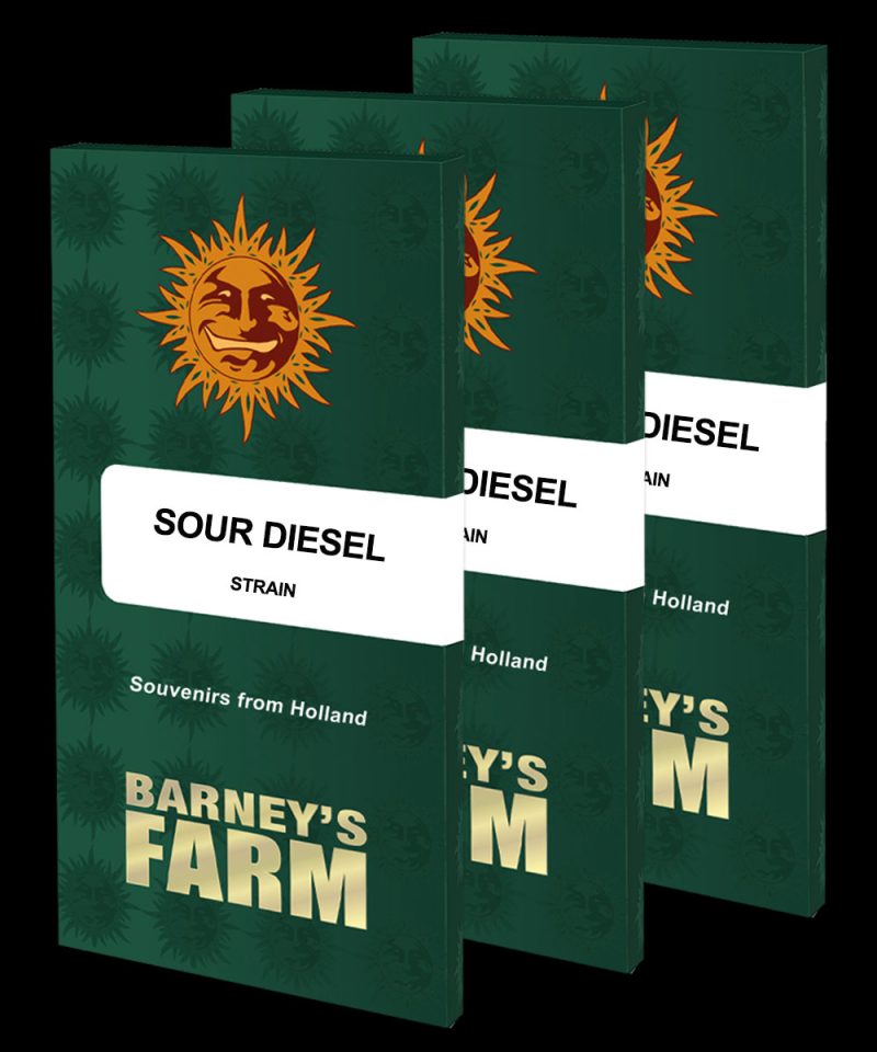 Sour Diesel Sour Diesel Cannabis Samen 2