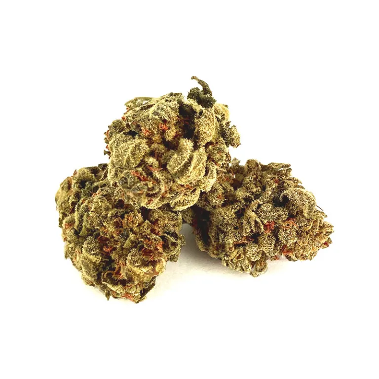 15% HIGH CBD Blüten Banana Kush high-cbd-blueten-banana-kush 1