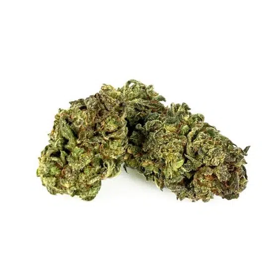 15% CBG/CBD Blüten White Rhino CBD-CBG-white-rhino 1