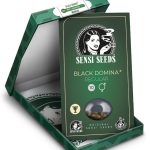 Black Domina 3